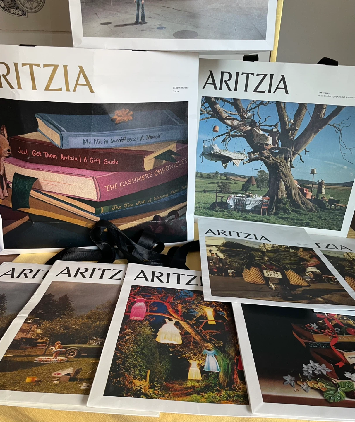 Aritzia Shopping Bag Collection of 9 - photo 2