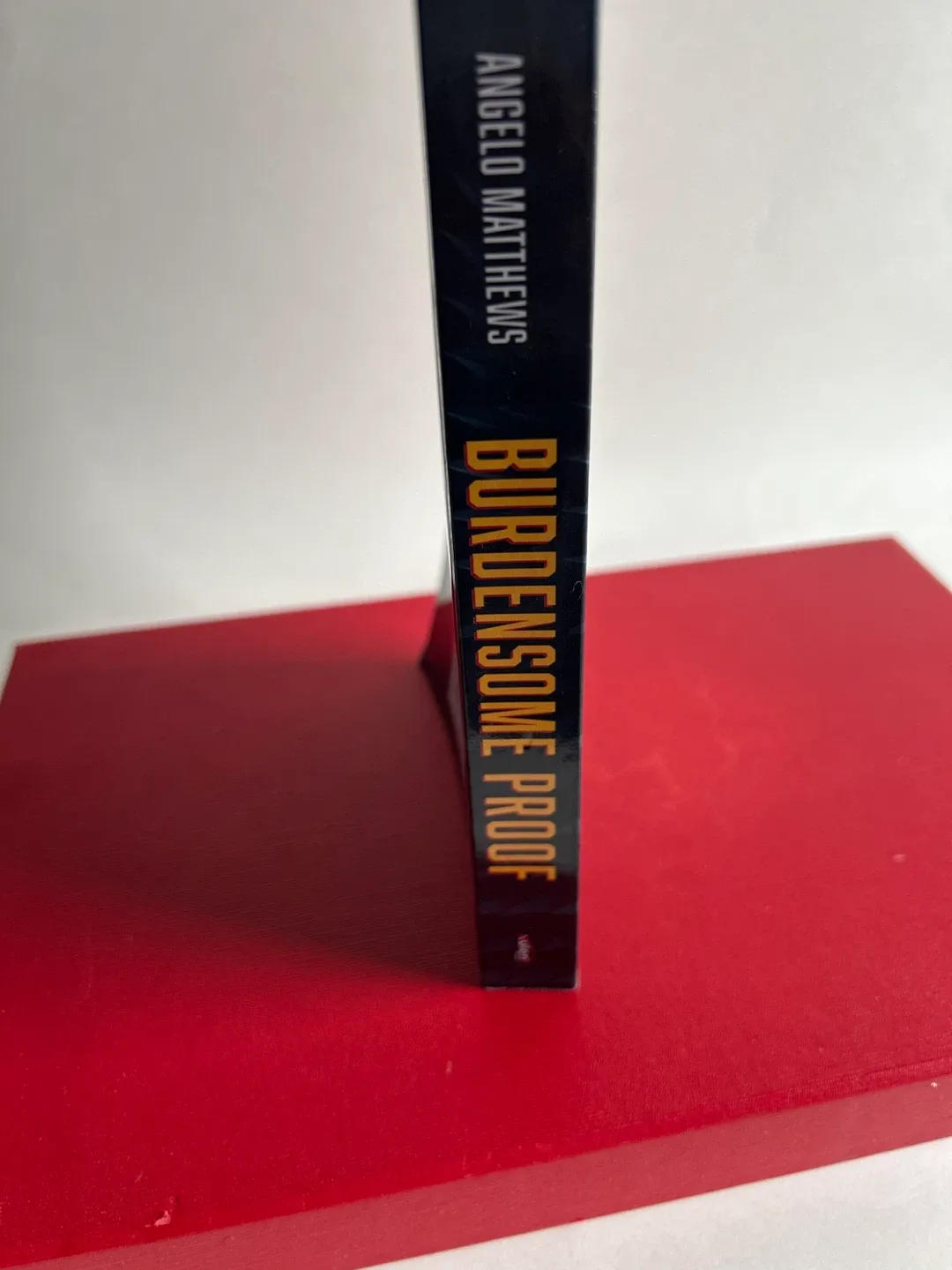 Burdensome Proof by Angelo Matthews - Fiction Novel - photo 4