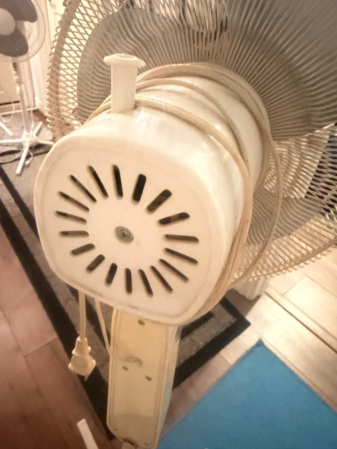 Windmere 12 Inch Oscillating Standing Fan - photo 4