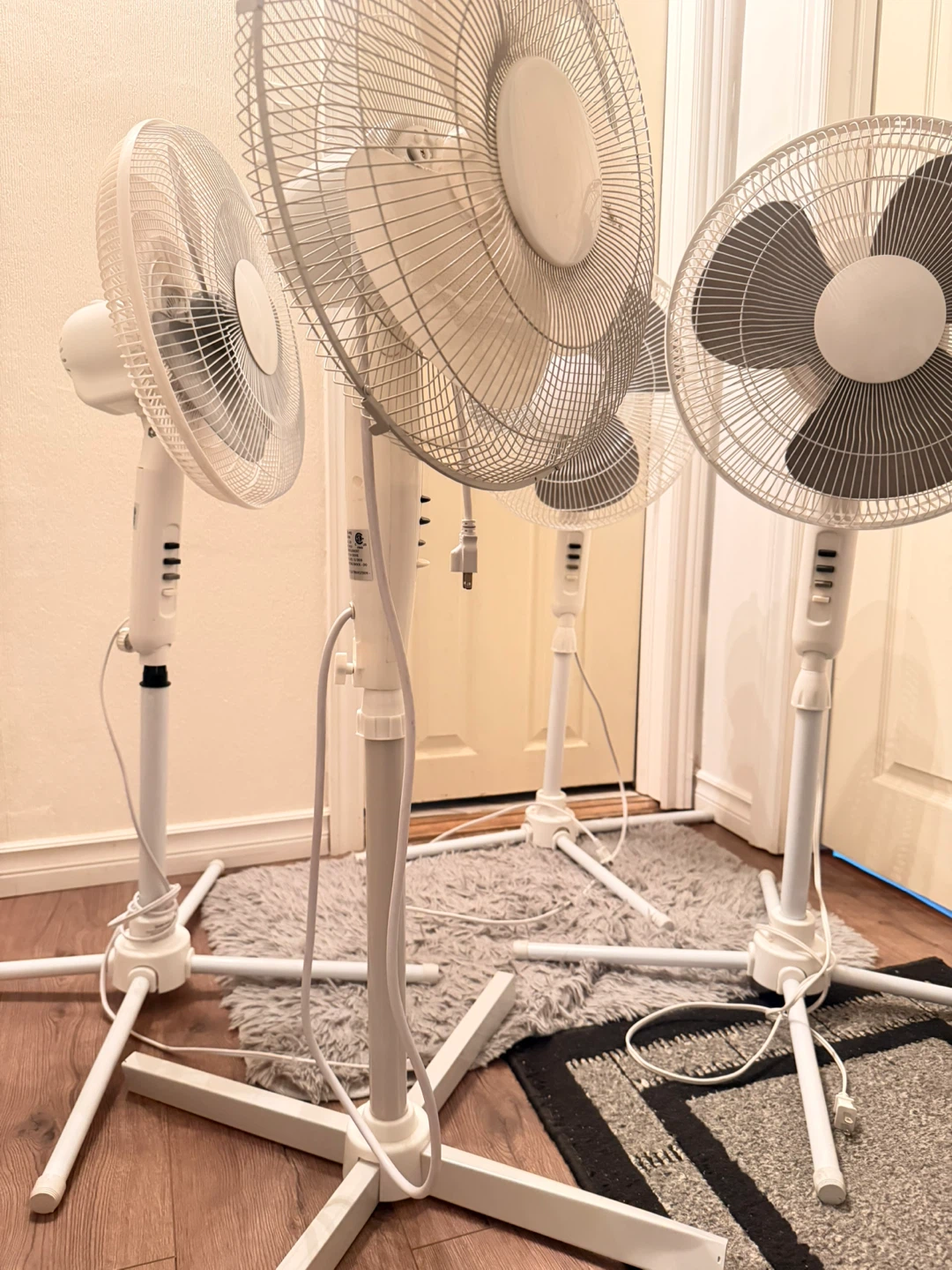 Windmere 12 Inch Oscillating Standing Fan - photo 2