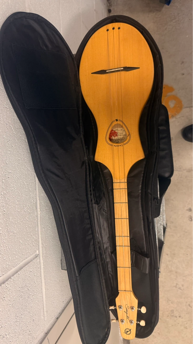 Seagull Natural Series S.G. Folk Guitar