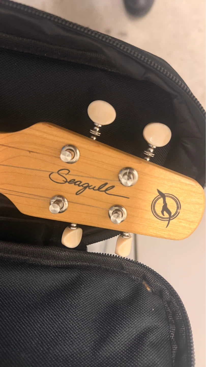 Seagull Natural Series S.G. Folk Guitar - photo 2