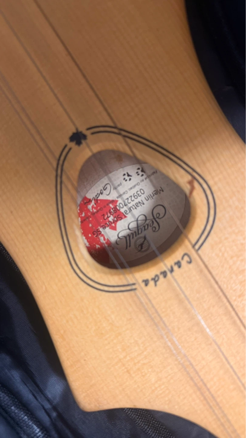 Seagull Natural Series S.G. Folk Guitar - photo 5