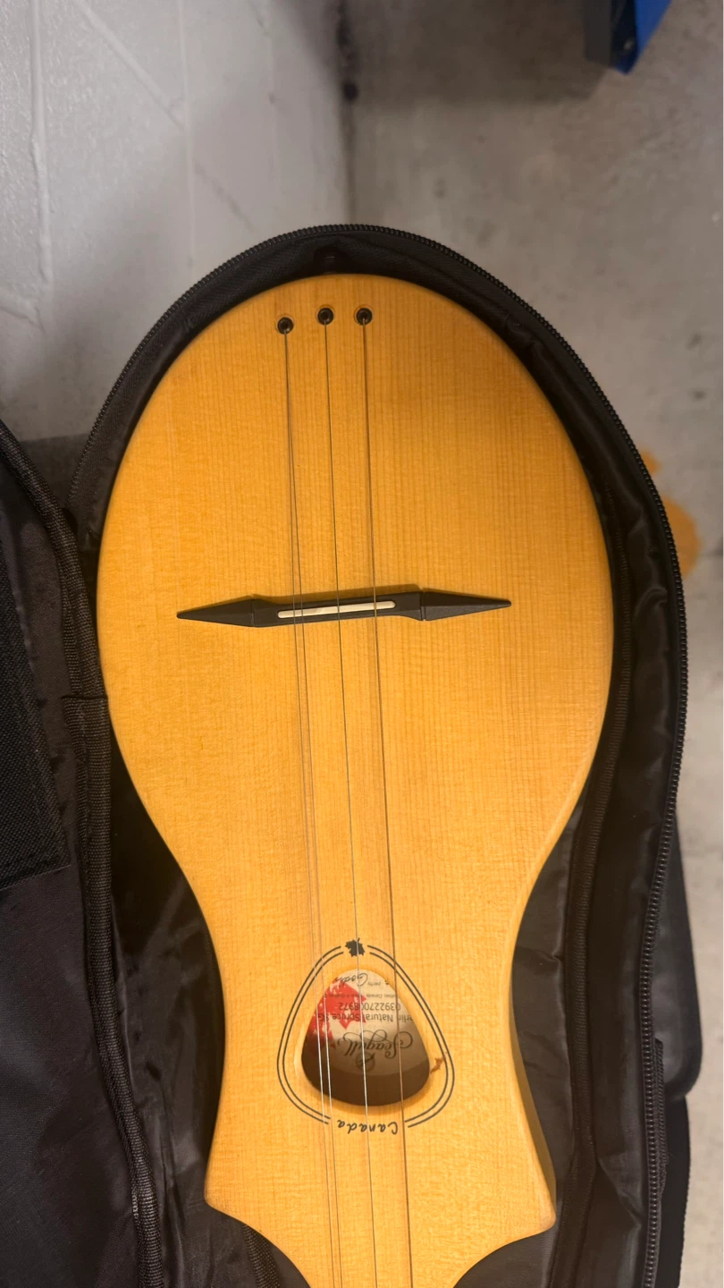 Seagull Natural Series S.G. Folk Guitar - photo 3
