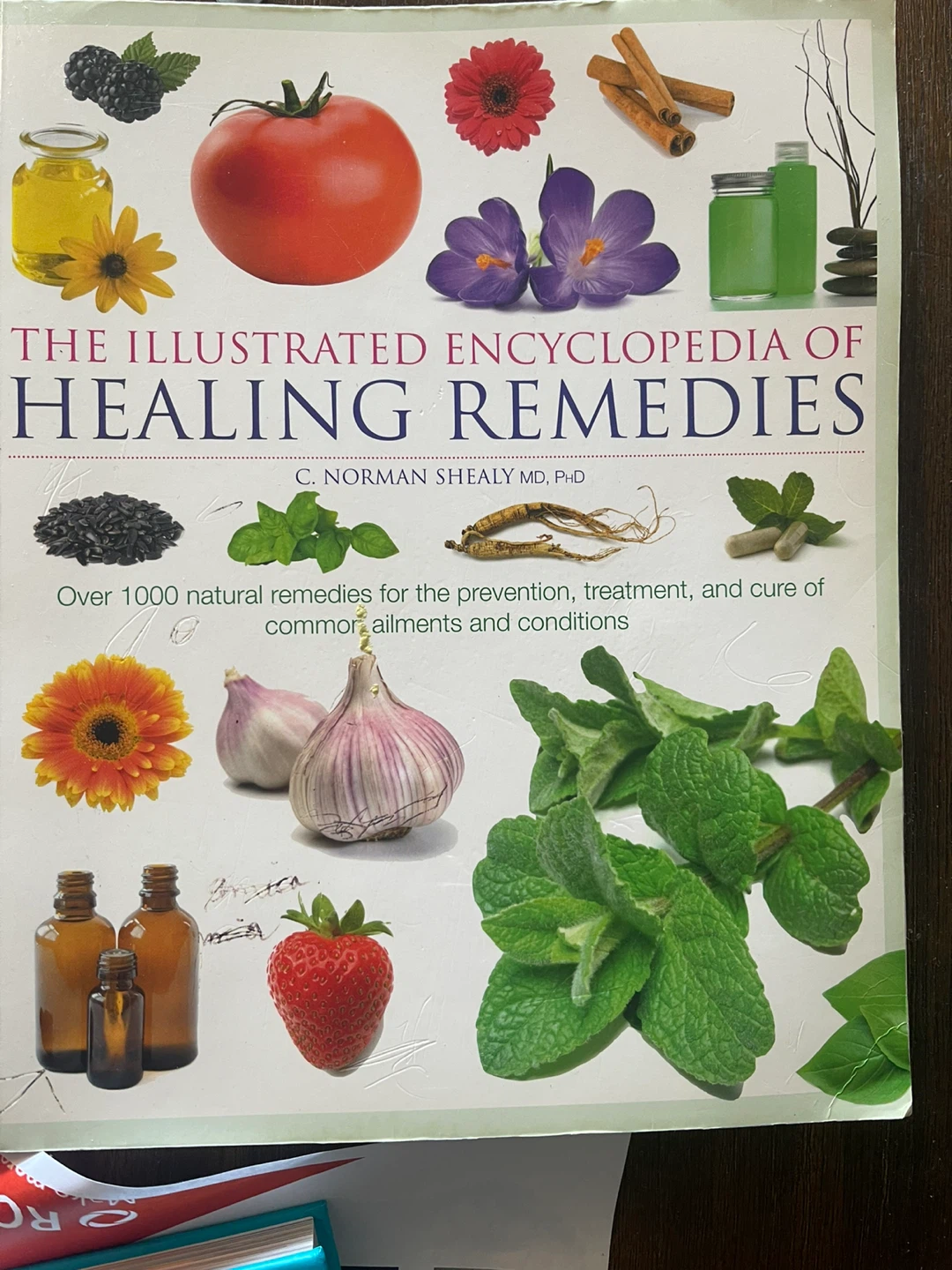 The Illustrated Encyclopedia of Healing Remedies Book