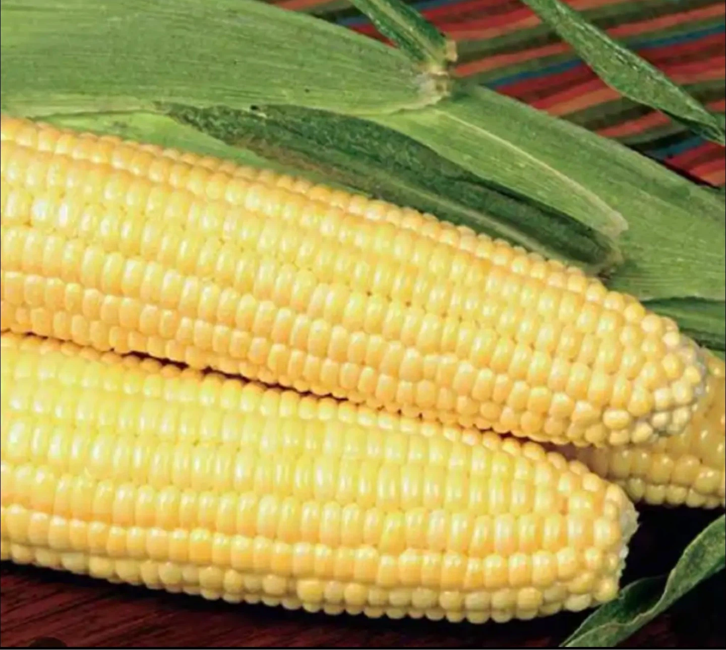 Sweet Corn