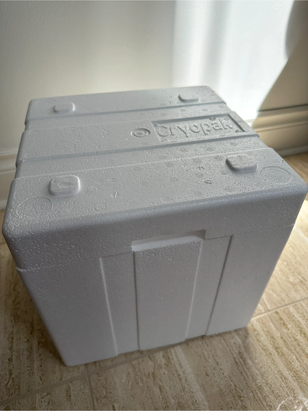 🌱 Cryopak Insulated Cooler Box