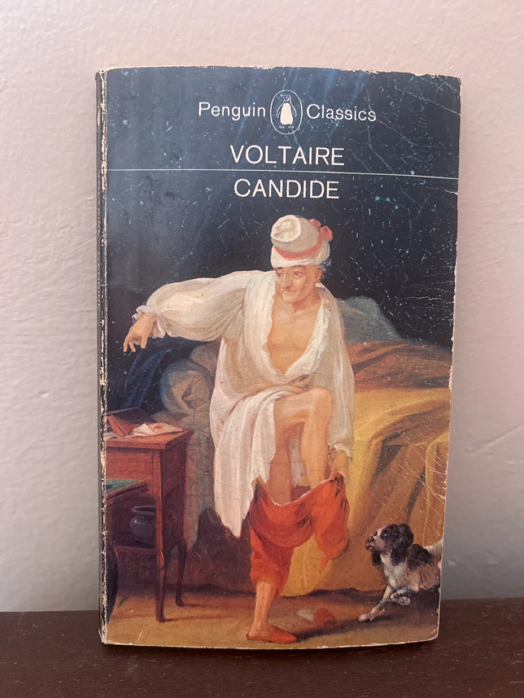 🌱Voltaire Candide Book