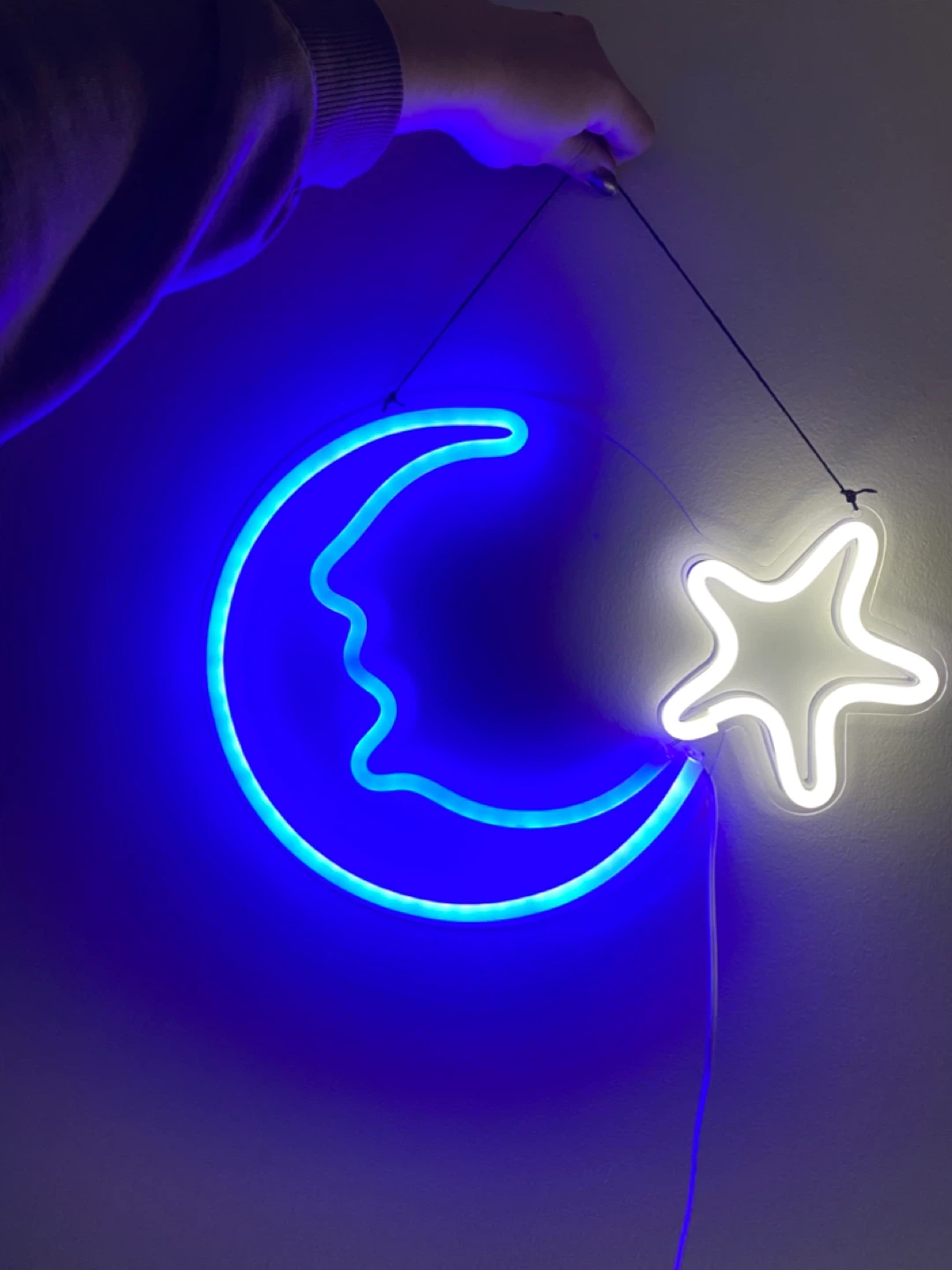 Moon and Star Neon Sign