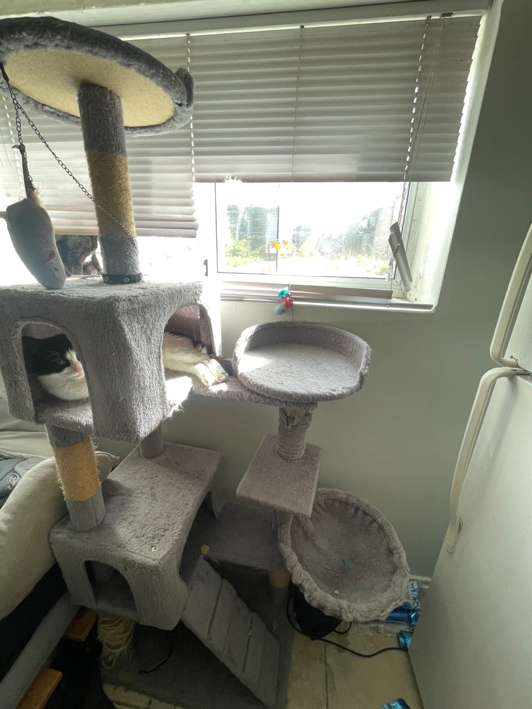 Cat Tree Condo with Scratching Posts