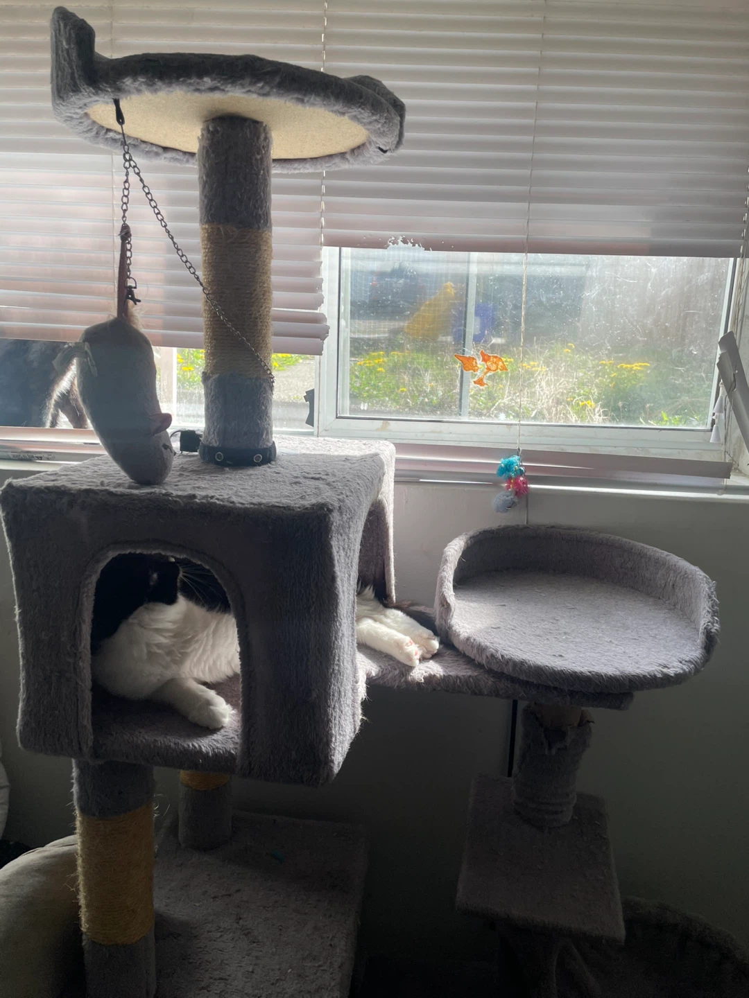 Cat Tree Condo with Scratching Posts - photo 3