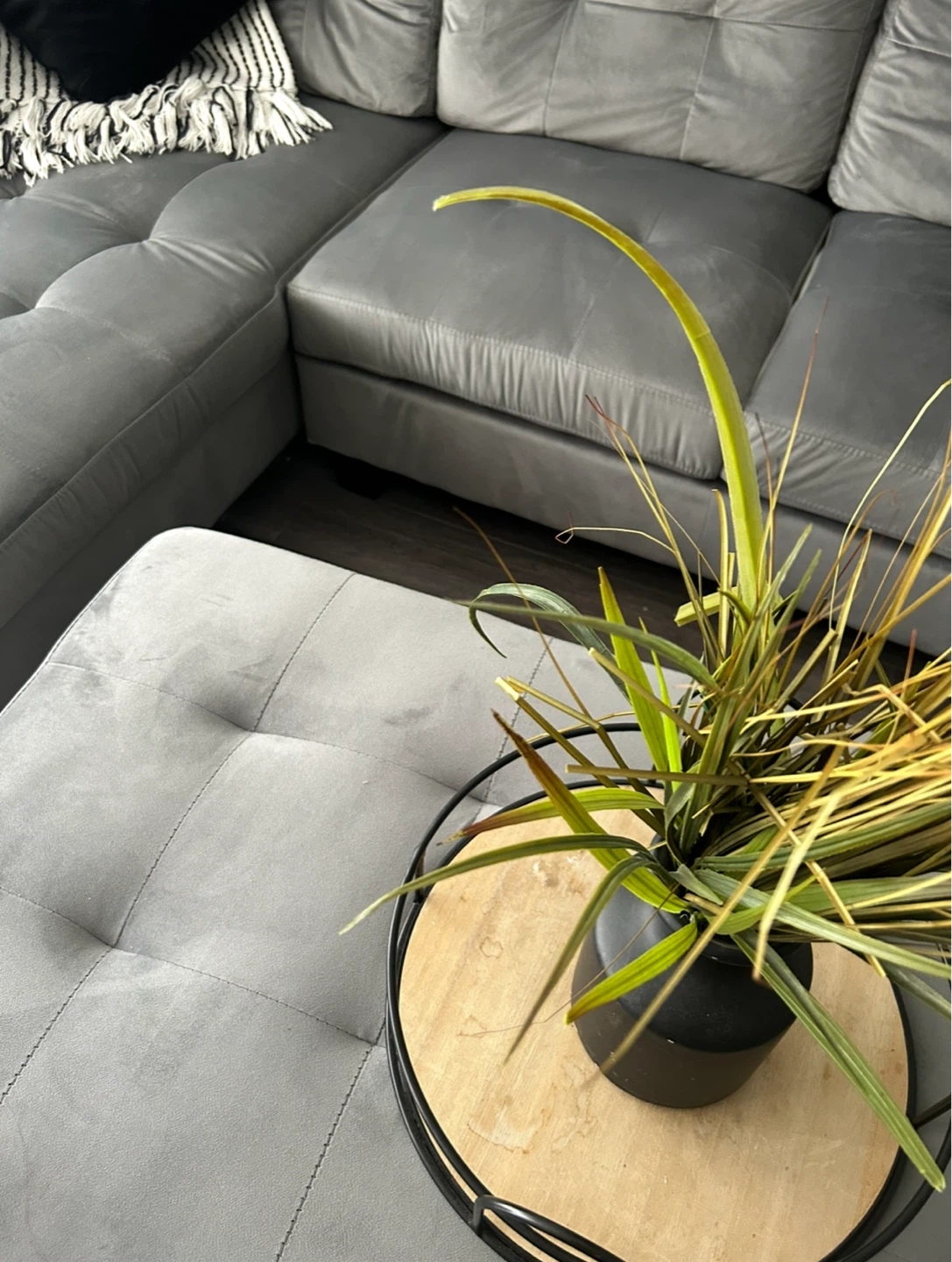 Grey Velvet Sectional Sofa with Ottoman - photo 2