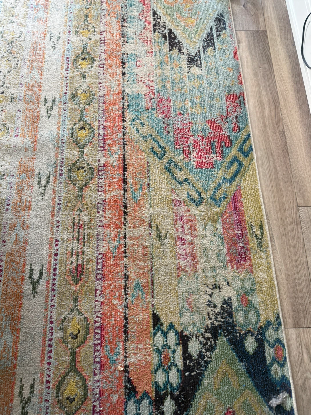 Distressed Boho Area Rug
