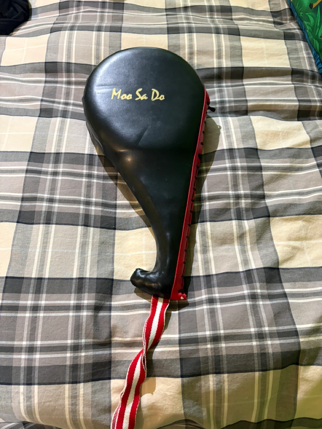 Moo Sa Do Martial Arts Kick Pad - photo 2