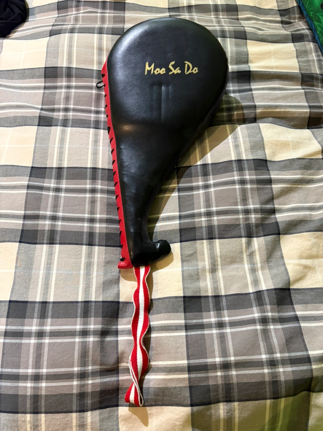 Moo Sa Do Martial Arts Kick Pad