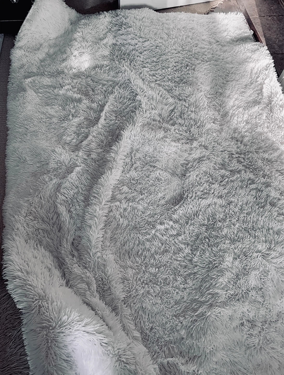 Fluffy Grey Area Rug 🌱 - photo 2