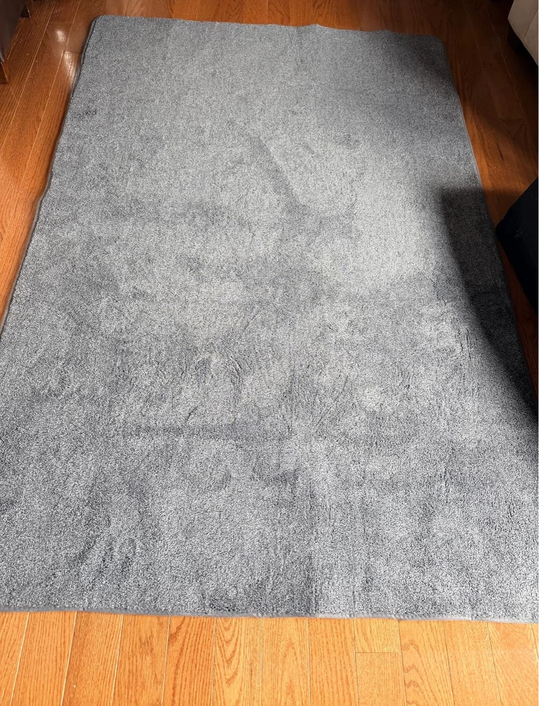 Fluffy Grey Area Rug 🌱