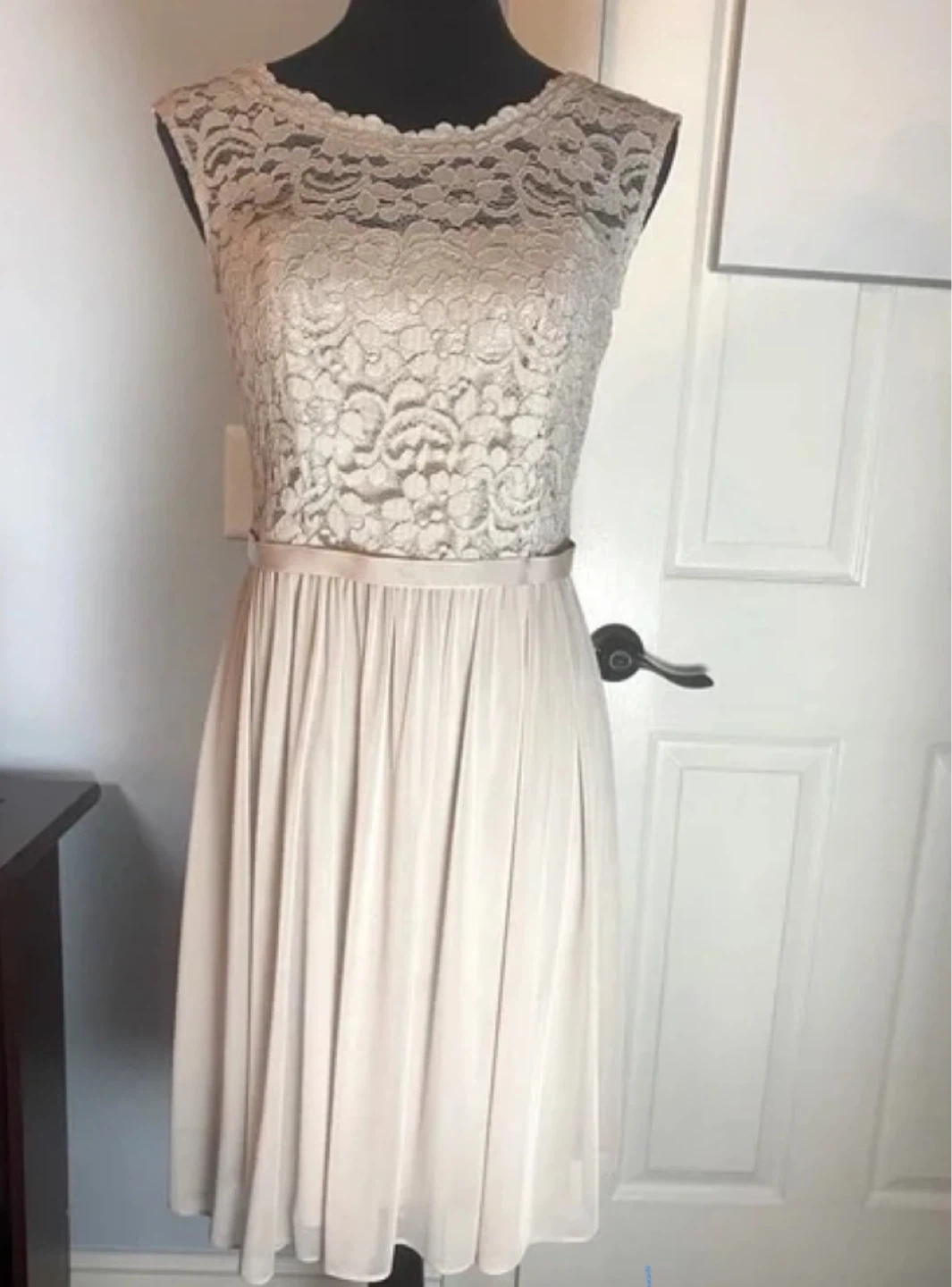 David's Bridal Lace & Chiffon Dress - Blush