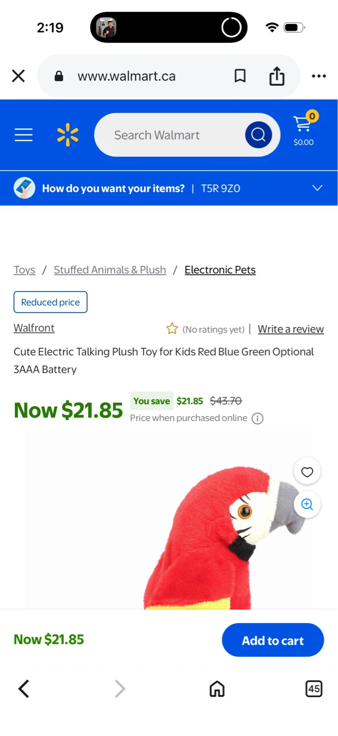 Walfront Talking Plush Parrot Toy - photo 5