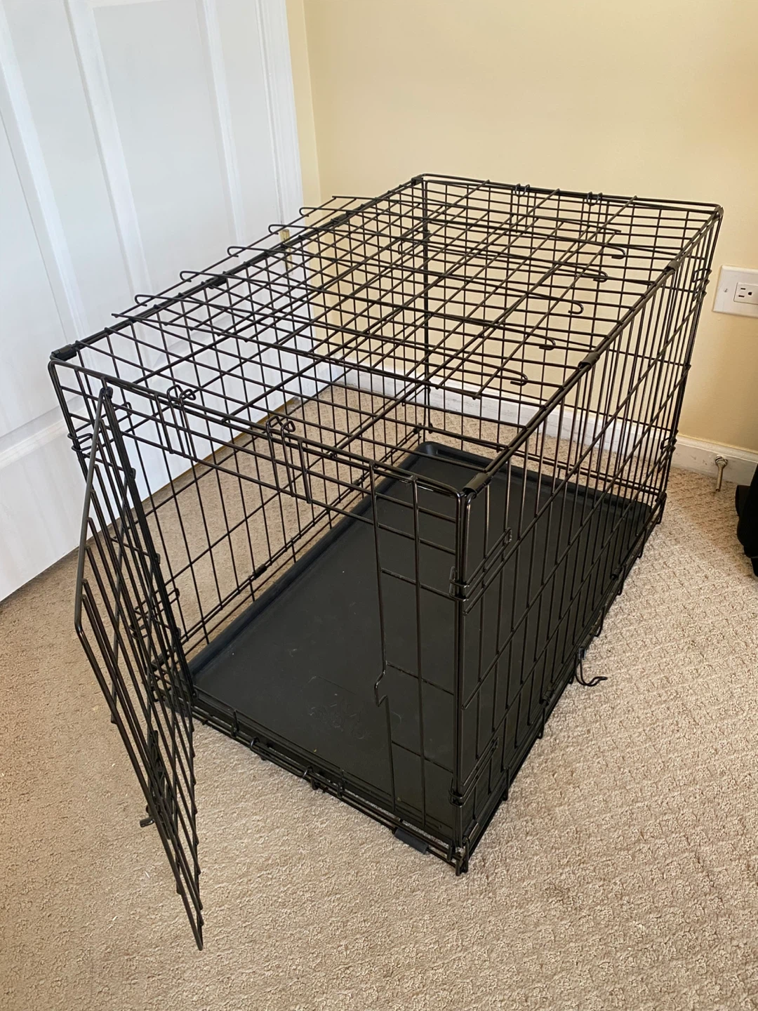 EveryYay Medium 1-Door Dog Crate