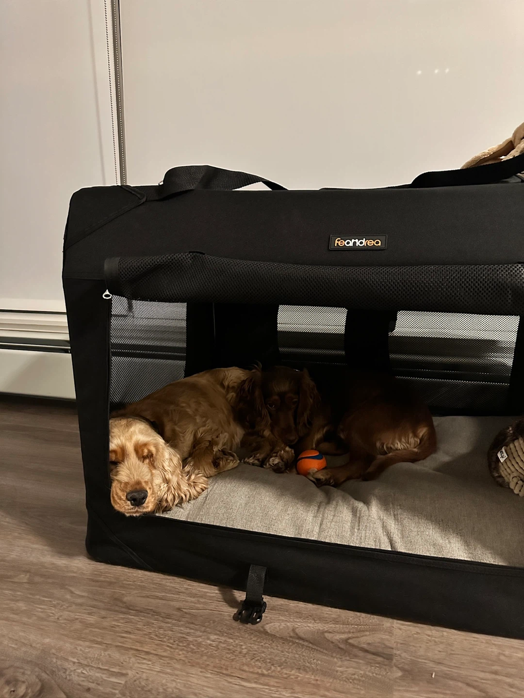 Dog Crate and Bed