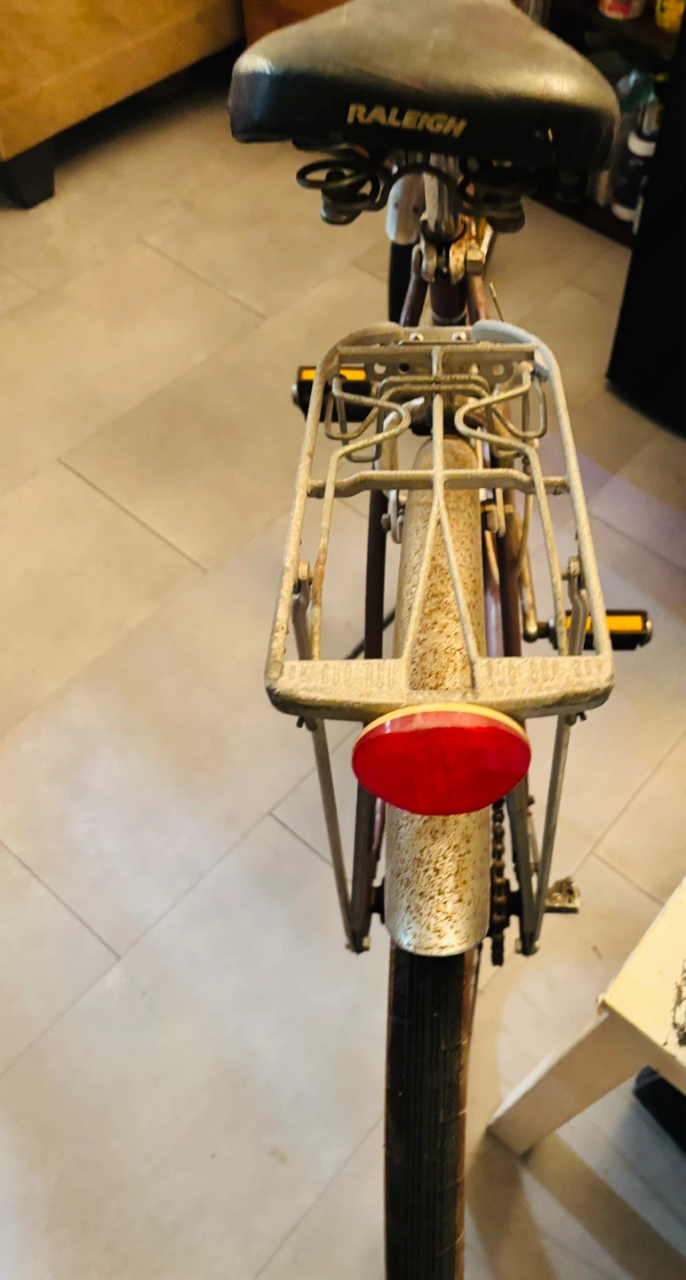 Raleigh Women's Cruiser Bicycle - photo 3