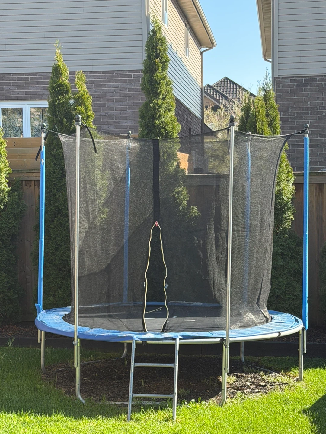 Trampoline with Safety Enclosure Net and Ladder