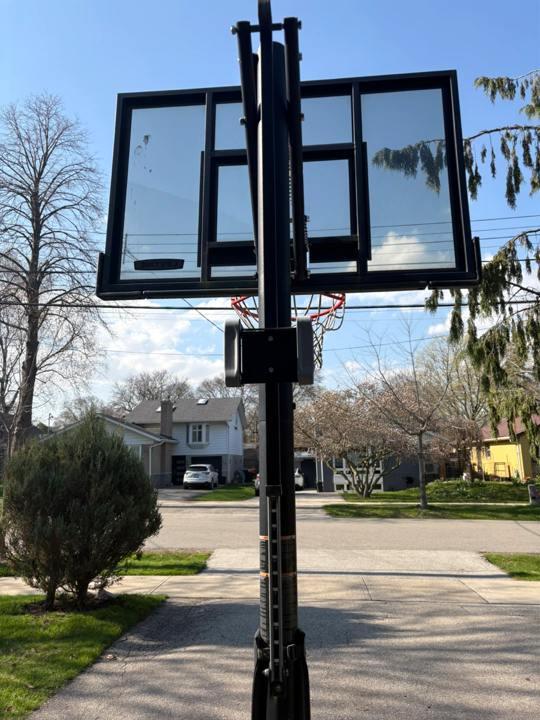 Lifetime Basketball Hoop System