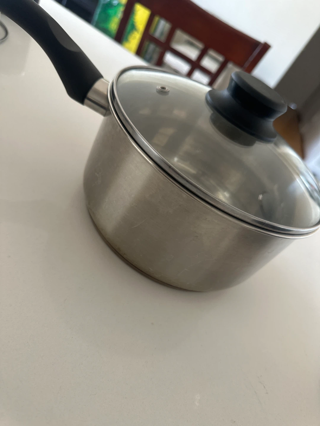Stainless Steel Saucepan with Glass Lid