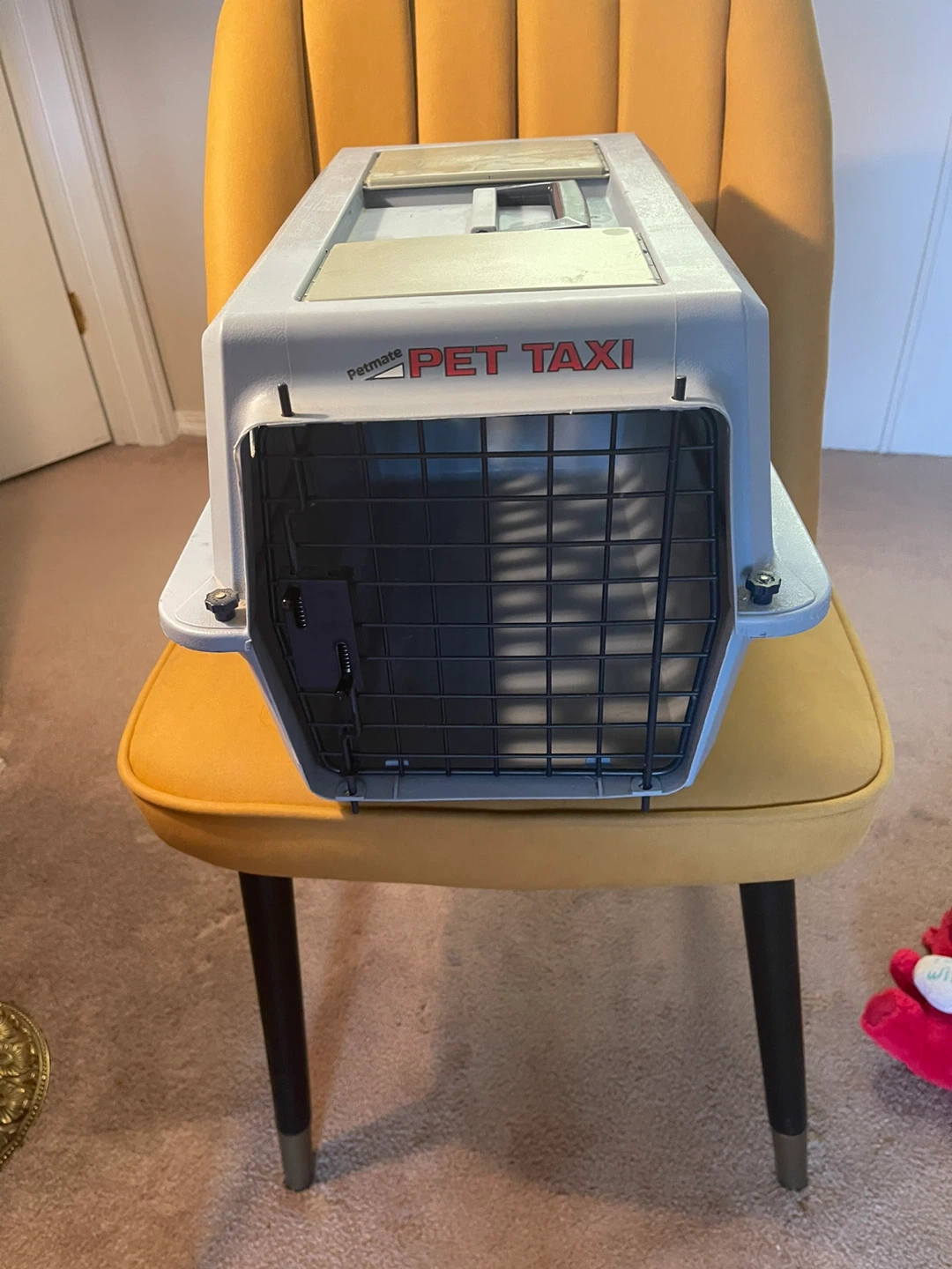 Petmate Pet Taxi Pet Carrier