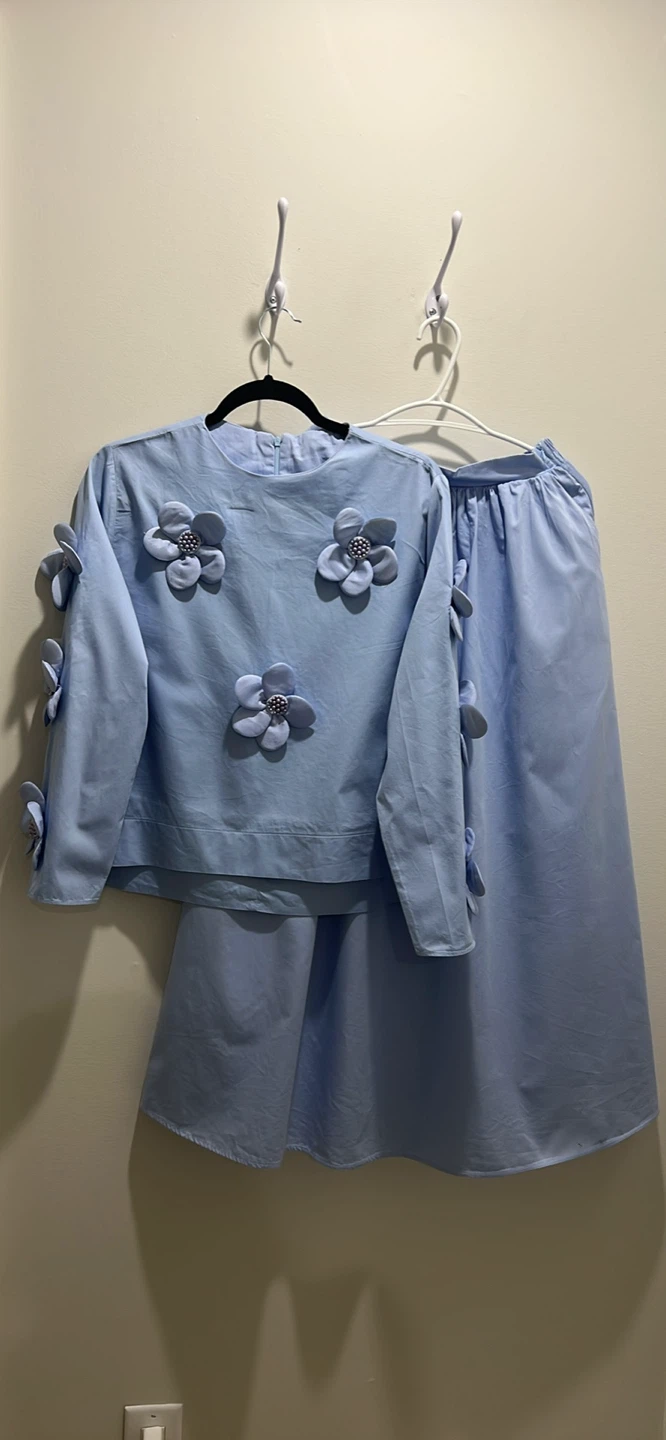 Light Blue Floral Embellished Top and Skirt Set