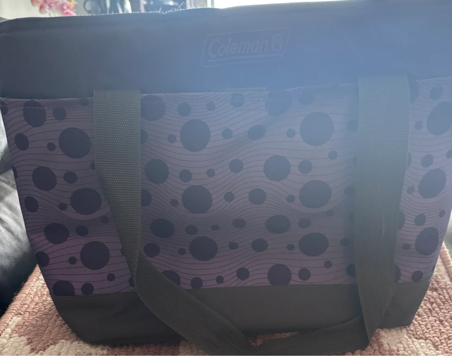 Coleman Insulated  Bag