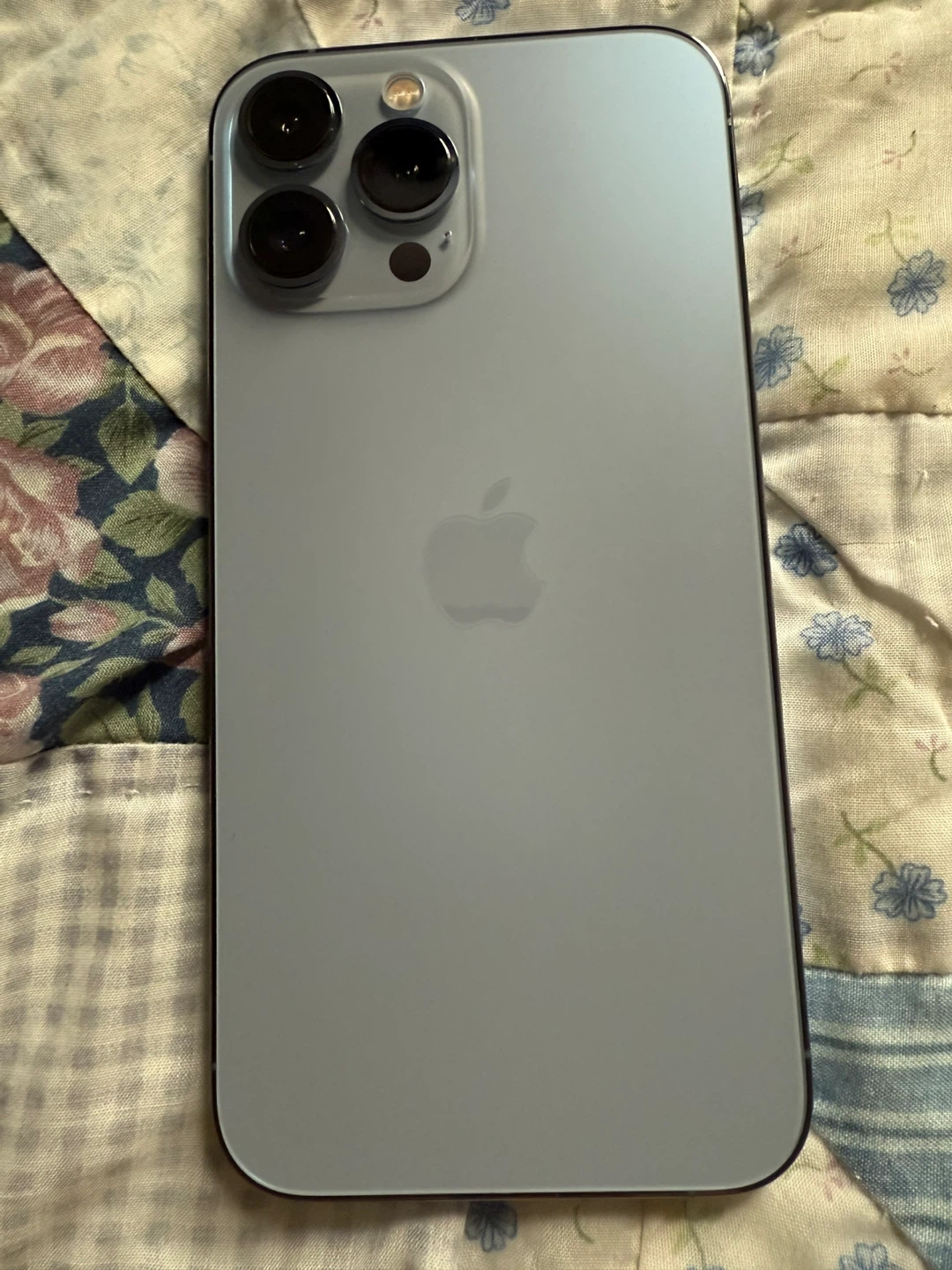 Unlocked Apple iPhone 13 Pro Max 1TB Excellent - photo 3