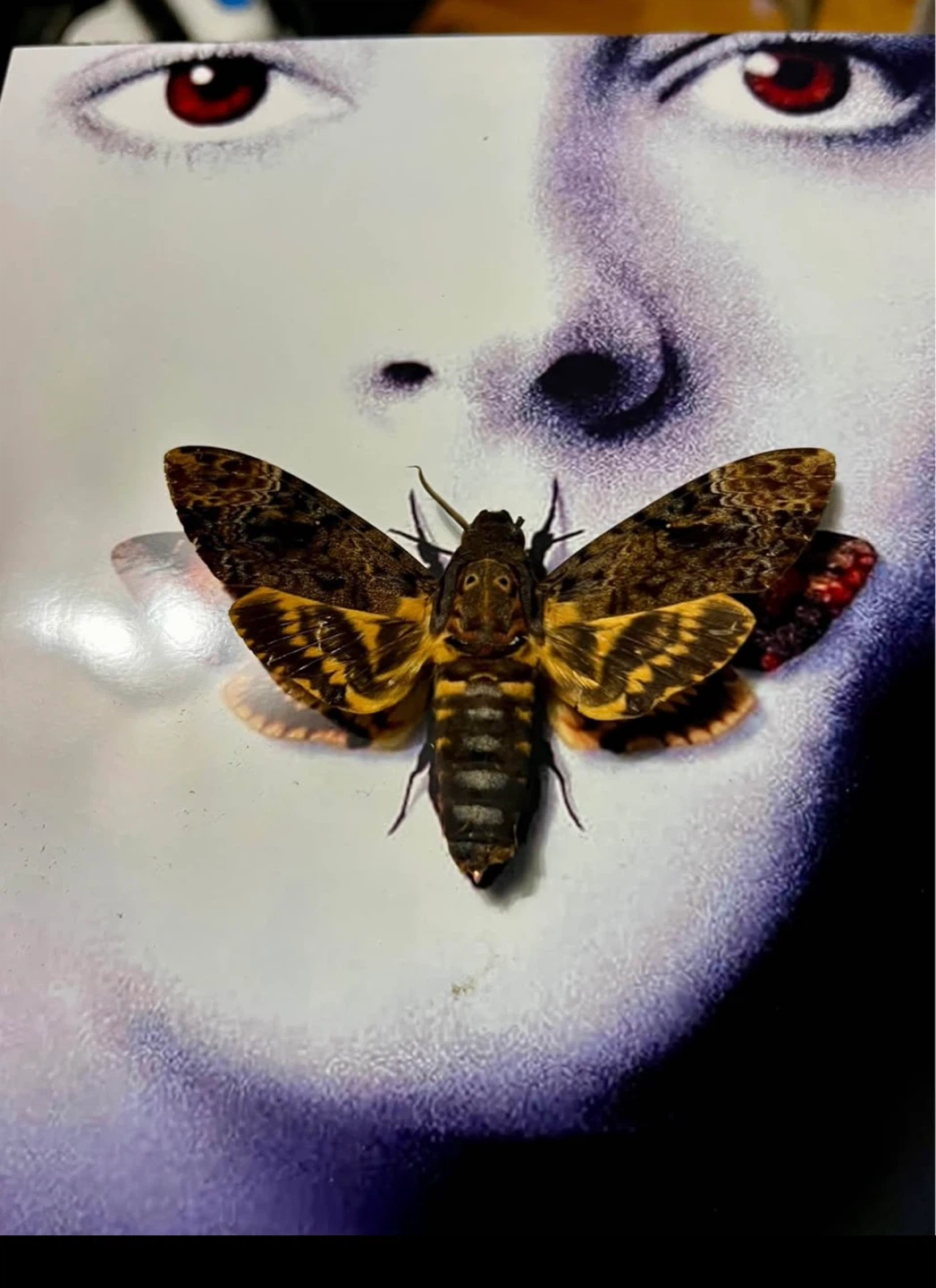 The Silence of the Lambs Movie Poster with Death's-head Moth - photo 3