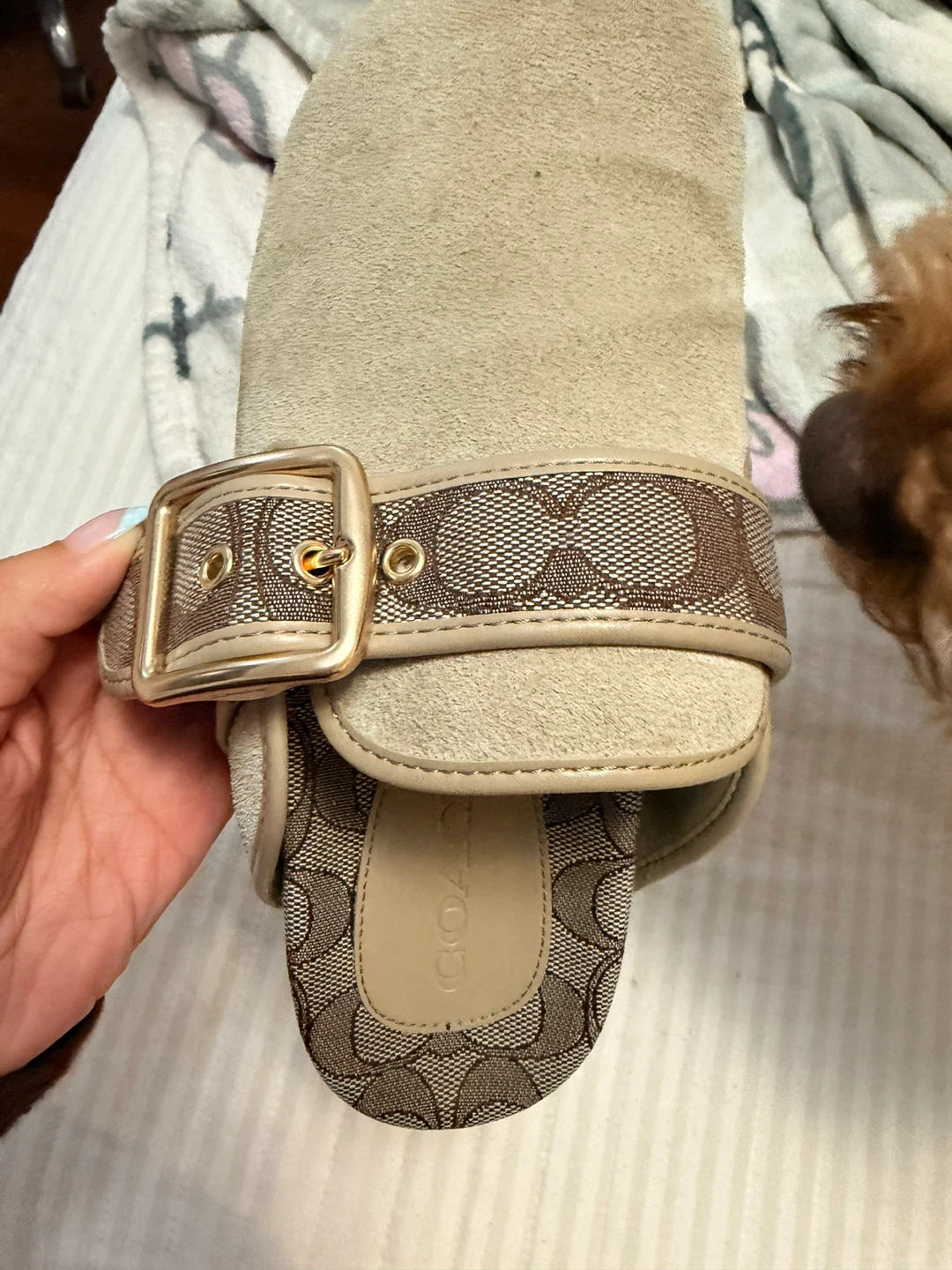Coach clogs Size 6B Beige Signature Buckle