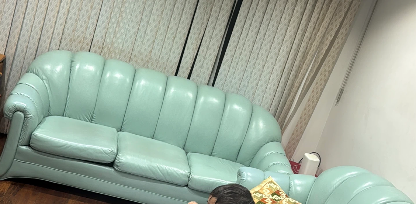 Mint Green Leather Sofa