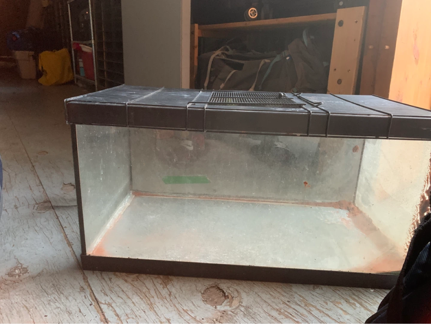 Glass Terrarium with Wire Lid