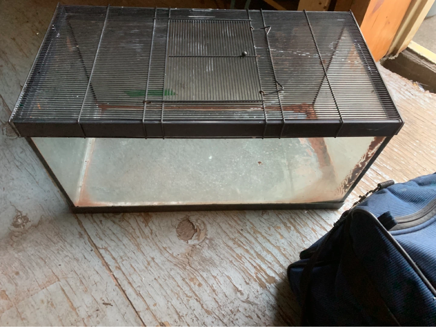 Glass Terrarium with Wire Lid - photo 2