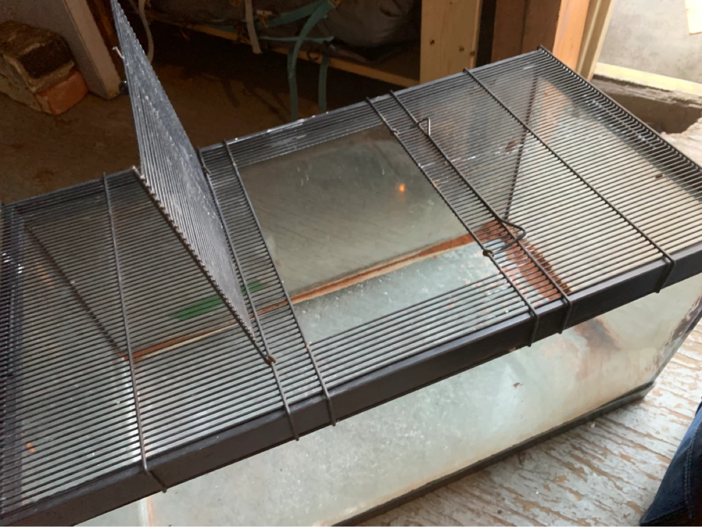 Glass Terrarium with Wire Lid - photo 3