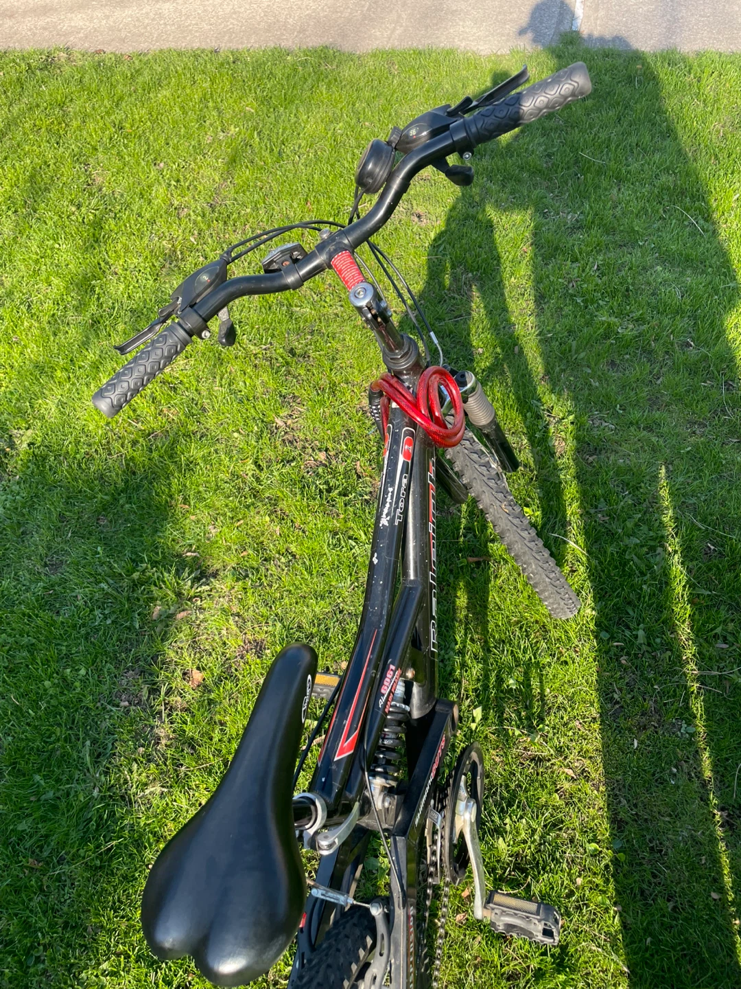 Raleigh Dual Suspension Mountain Bike-24” - photo 3