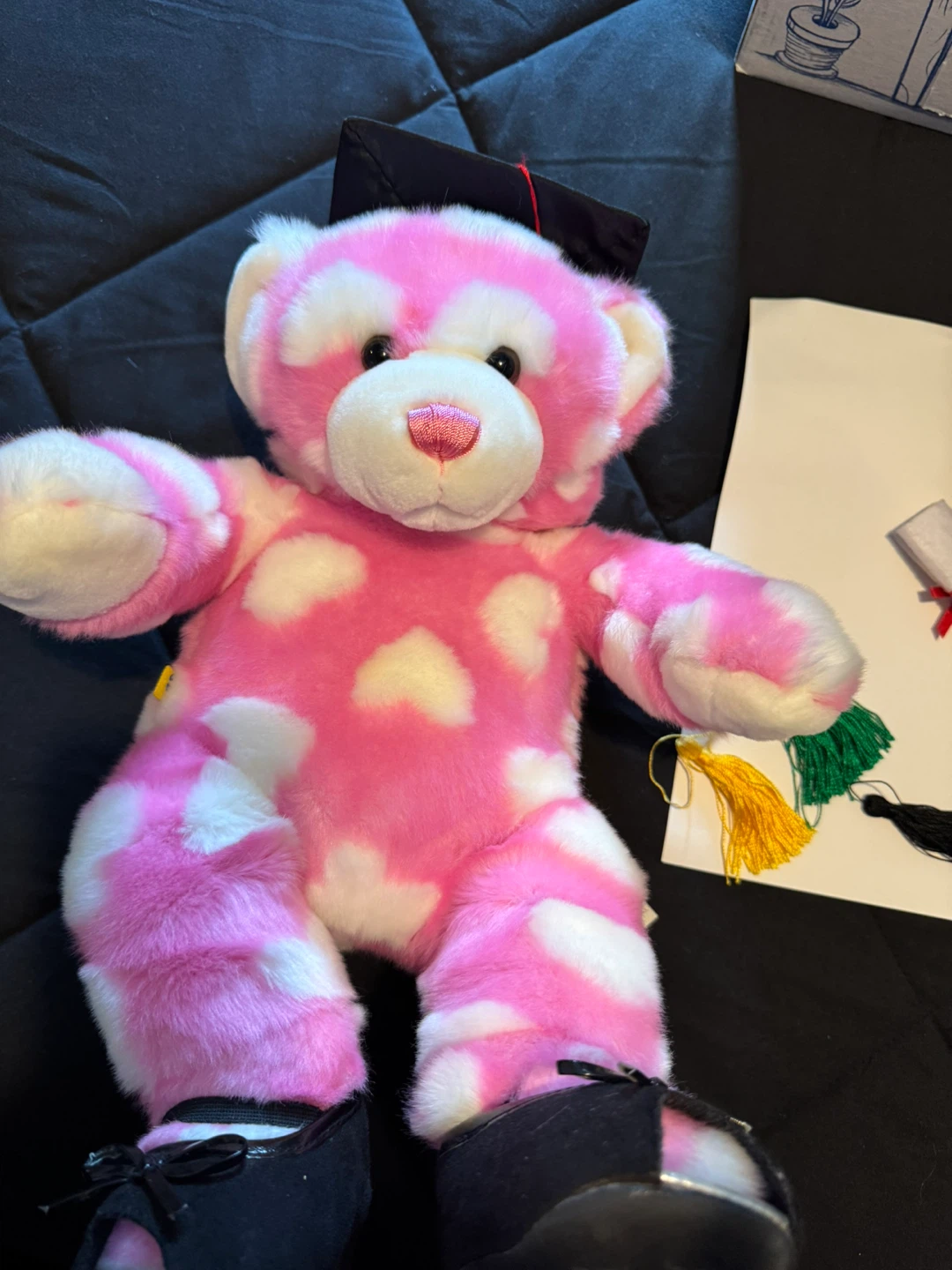 Build-A-Bear Graduation Teddy Bear with Accessories - photo 4