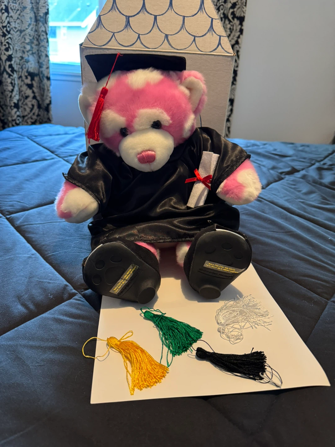 Build-A-Bear Graduation Teddy Bear with Accessories