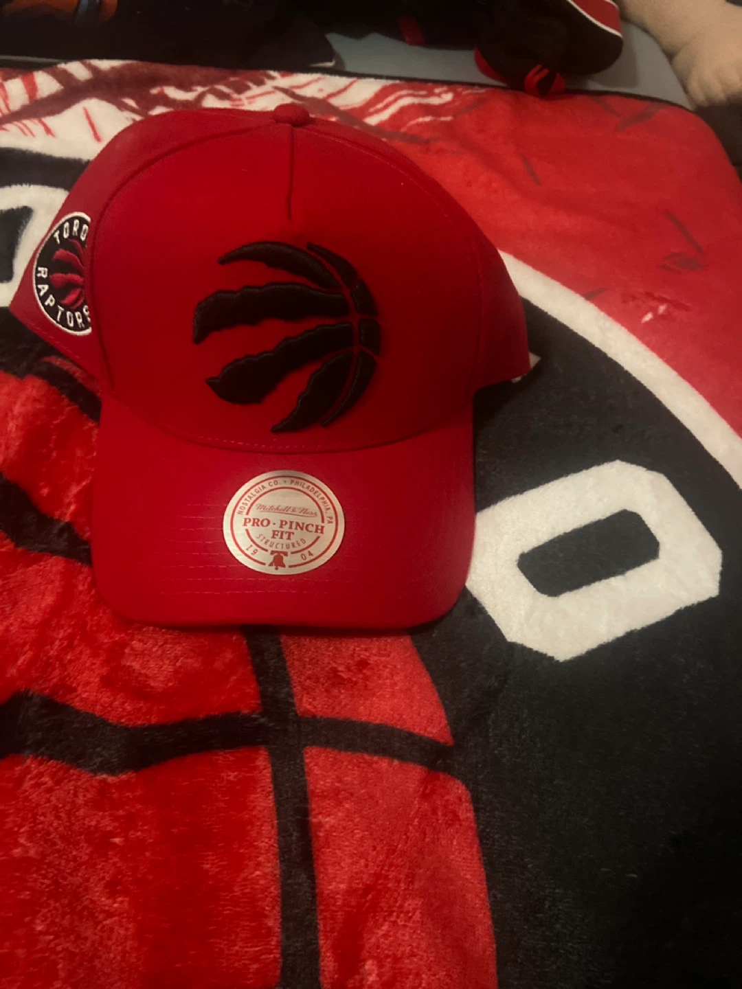 Toronto Raptors Mitchell & Ness Pro-Pinch Cap