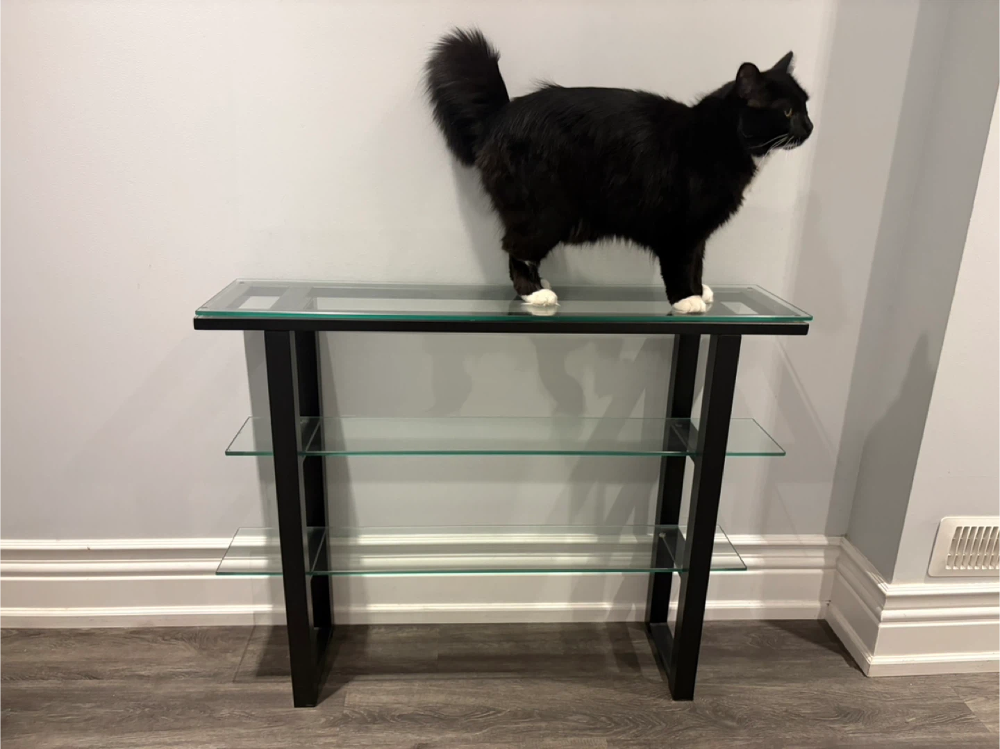 Glass and Metal Console Table