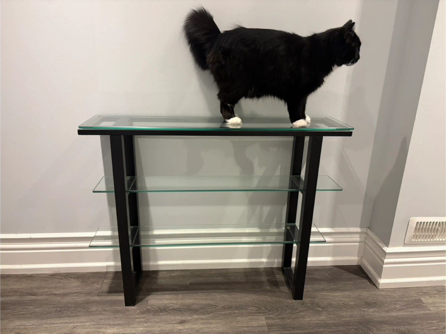 Glass and Metal Console Table - photo 2