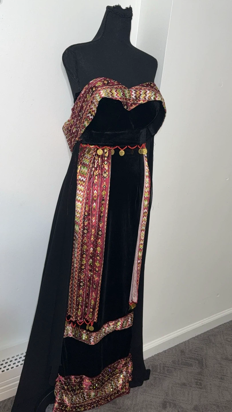 Embroidered Velvet Dress with Coin Trim - photo 2