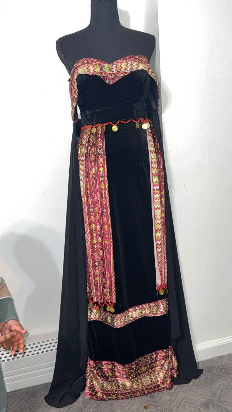 Embroidered Velvet Dress with Coin Trim