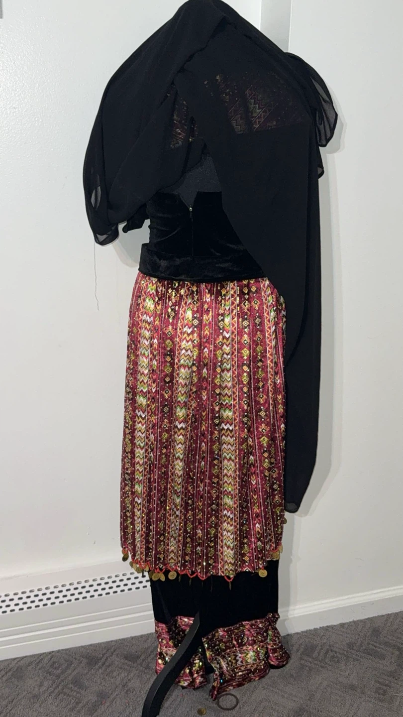 Embroidered Velvet Dress with Coin Trim - photo 5