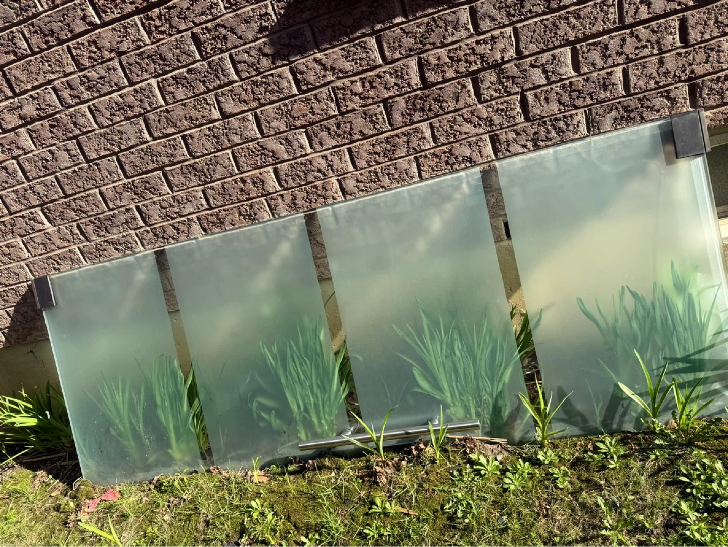 Glass Panel Door - photo 3