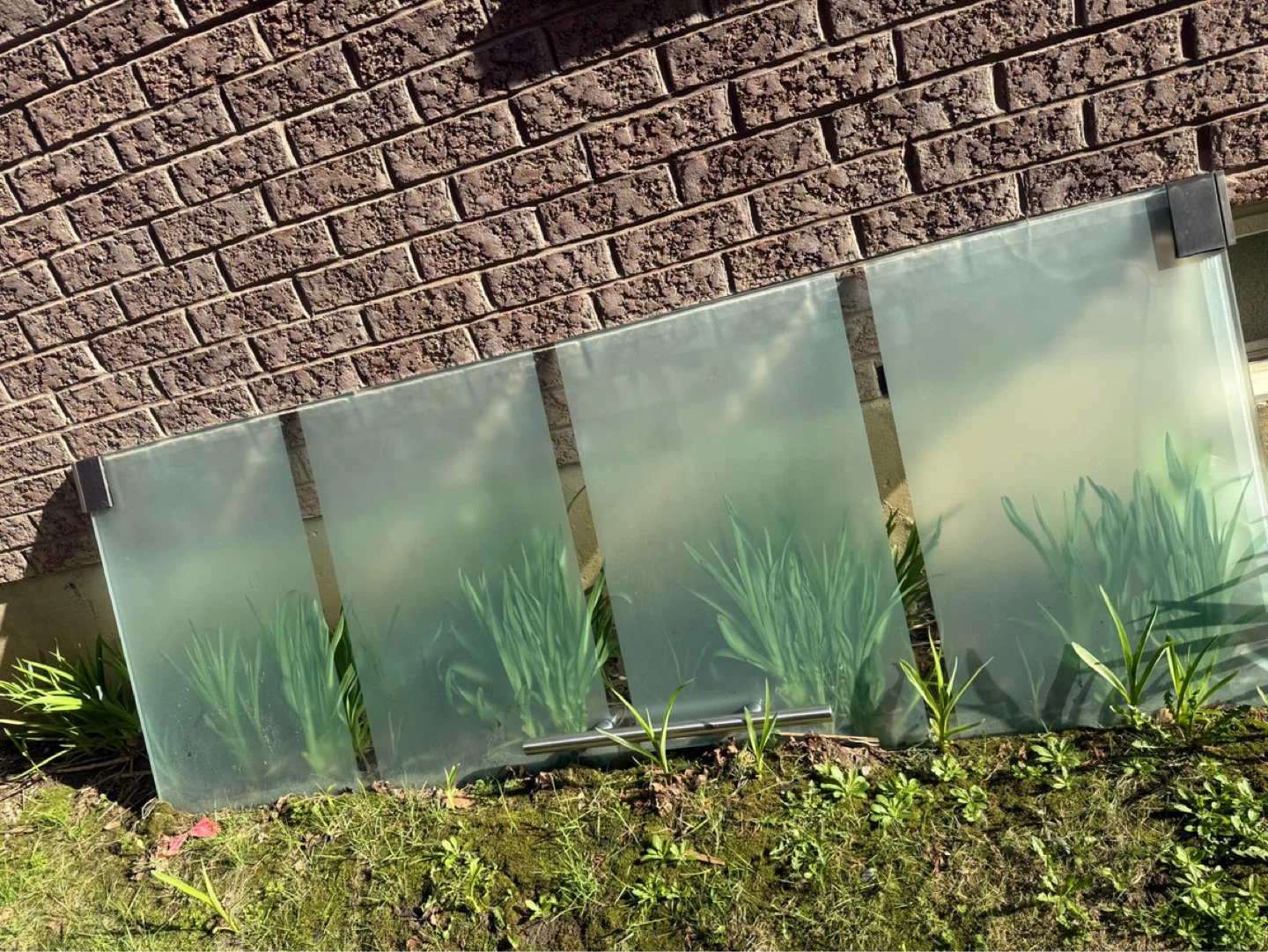 Glass Panel Door - photo 2